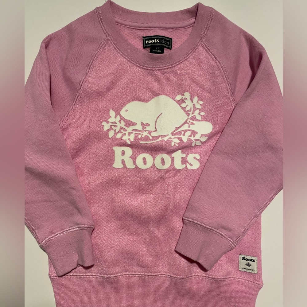 Roots Toddler Sweater